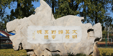 298手游网站-最好的娱乐游戏大厅
