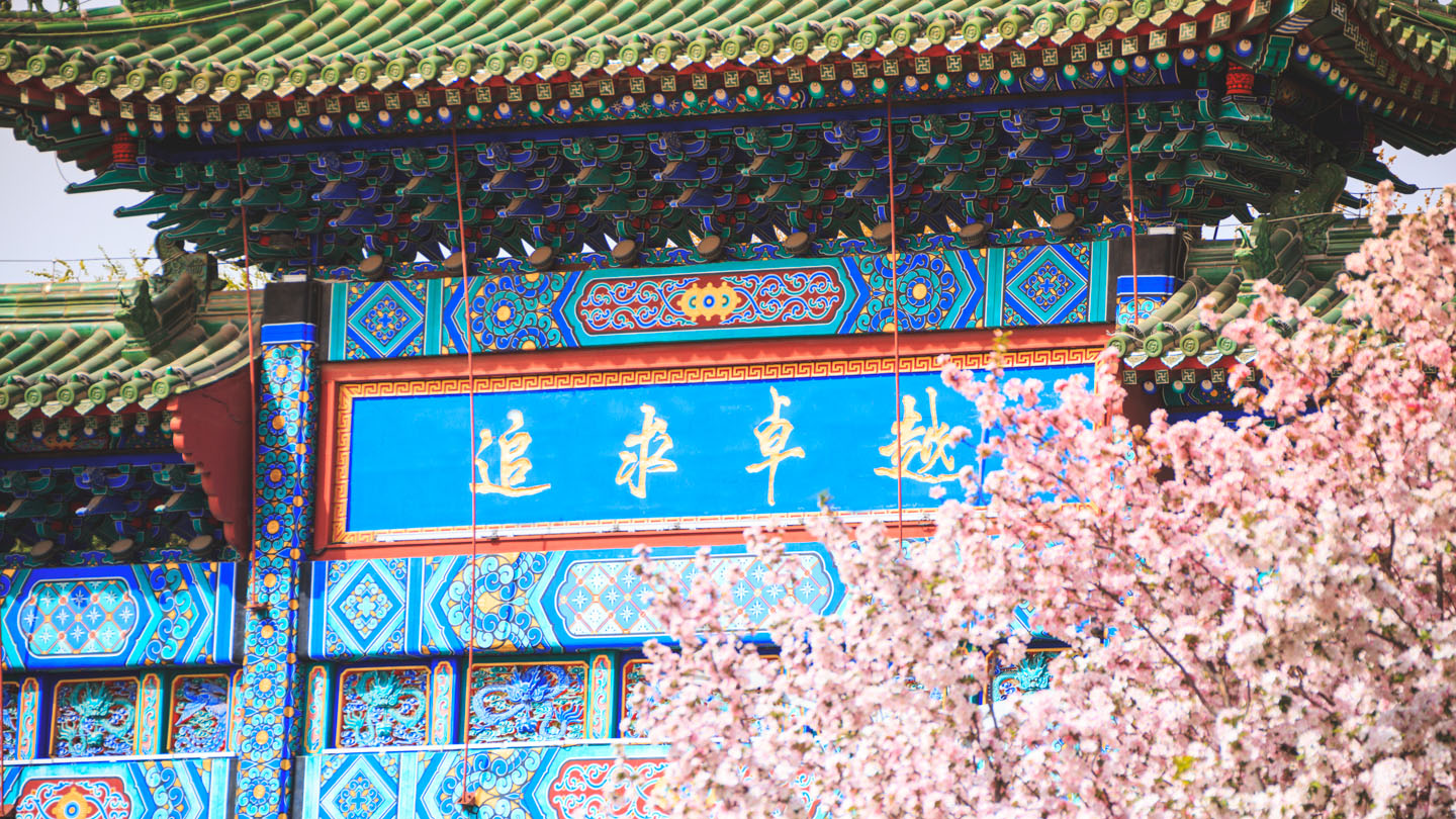 9f956bade2134e7590918c6aca6c6e6c 298手游网站-最好的娱乐游戏大厅